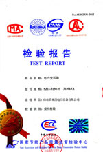 大理电力变压器检测报告